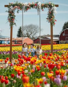 April 2025 | Happiness is a field full of tulips and a heart full of gratitude!
